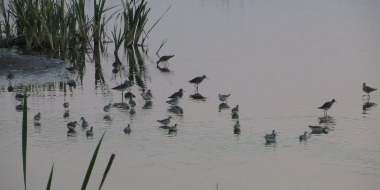 Jueves con lluvias y leve mejoría por la tarde