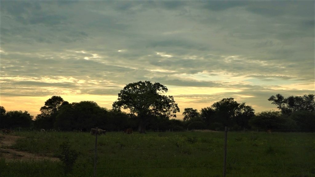 Dirección de Meteorología pronostica un sábado caluroso