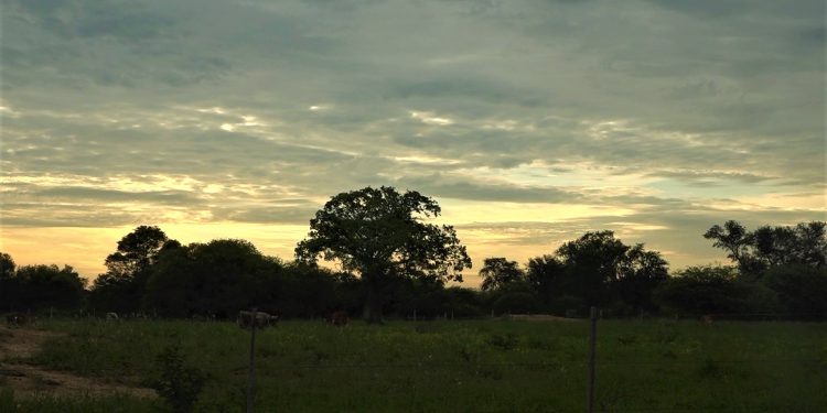 Dirección de Meteorología pronostica un sábado caluroso