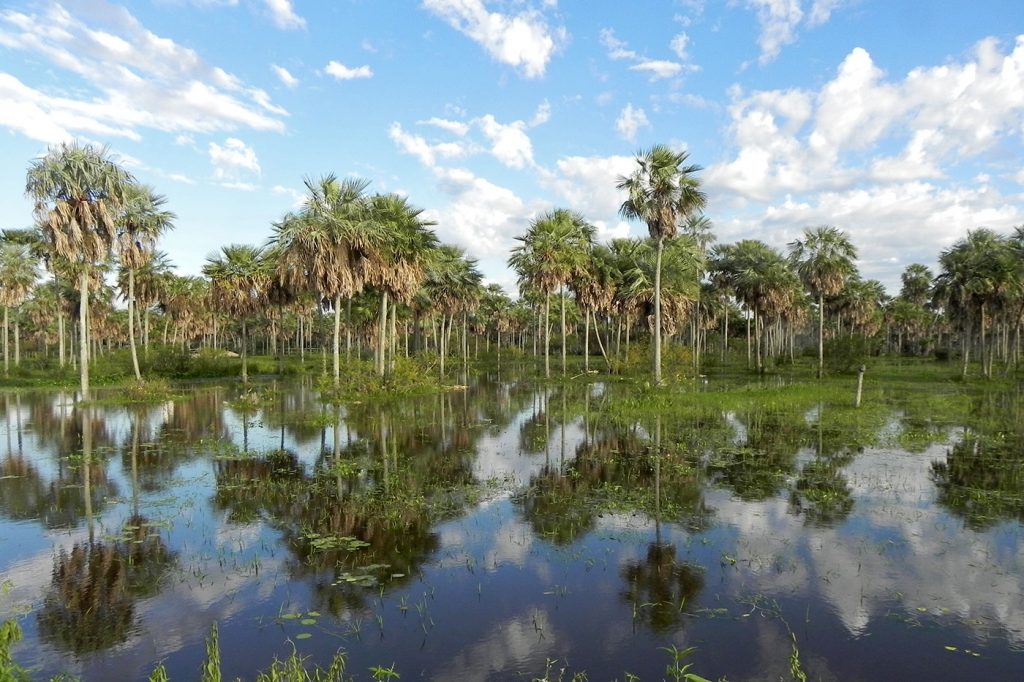 En abril se trabajará en estrategias de adaptación al cambio climático para el Chaco