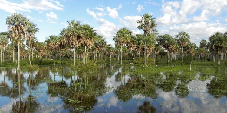 En abril se trabajará en estrategias de adaptación al cambio climático para el Chaco