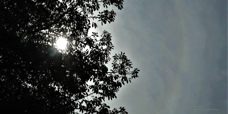 Pronostican jornada fresca a cálida con vientos del sur