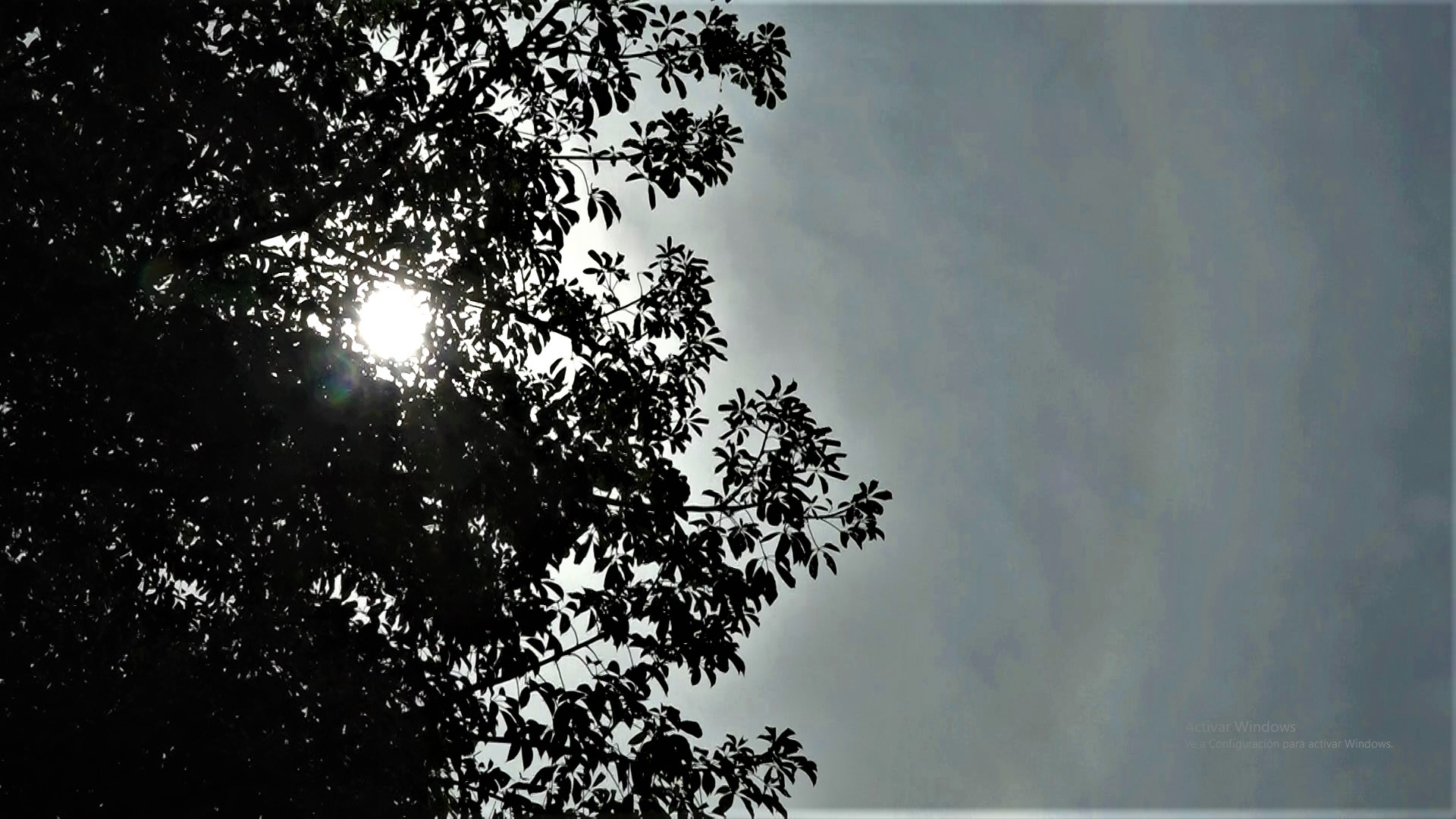 Pronostican jornada fresca a cálida con vientos del sur