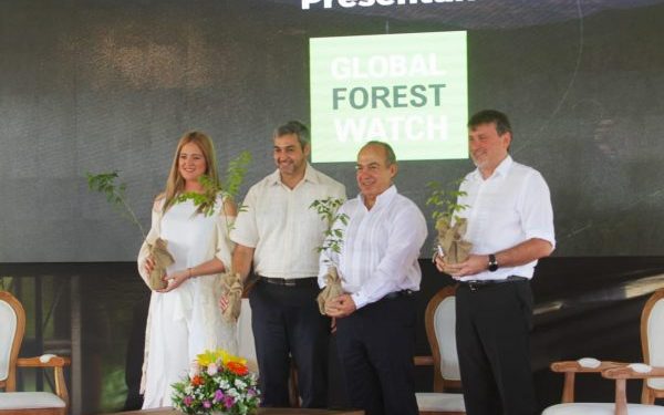 INFONA busca mitigar impacto de deforestación mediante observador forestal INFONA busca mitigar impacto de deforestación mediante observador forestal