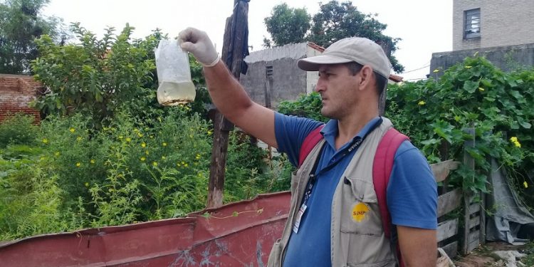 Ojo con epidemia de Dengue: Reportan aumento de notificaciones