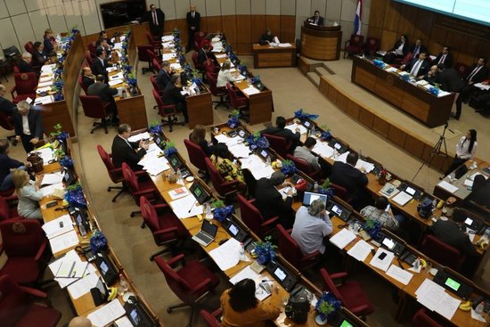 Senado se declara provida y profamilia