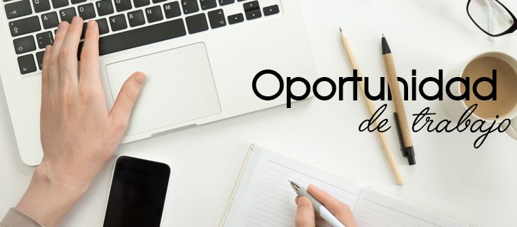 Lanzan convocatoria para cubrir más de 600 nuevos empleos pero ninguno para el Chaco Lanzan convocatoria para cubrir más de 600 nuevos empleos pero ninguno para el Chaco