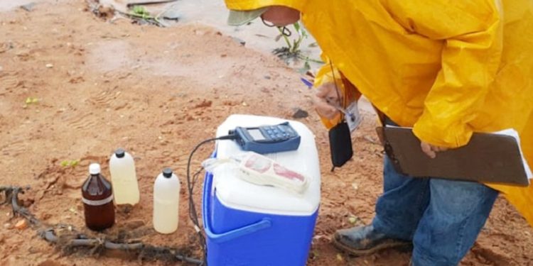 Recomiendan evitar consumo de los peces que aparecen muertos en las orillas