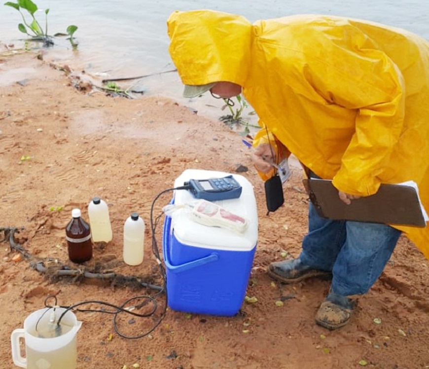 Recomiendan evitar consumo de los peces que aparecen muertos en las orillas