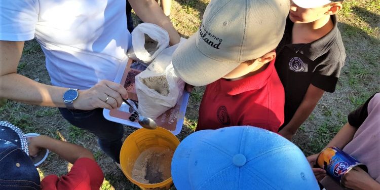 Colegio Neuland: Fomentan la agroecología como alternativa a los agroquímicos