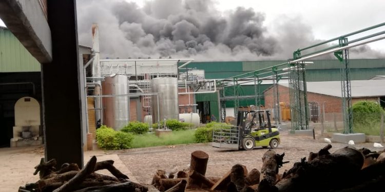 Loma Plata: Reportan incendio en FrigoChorti