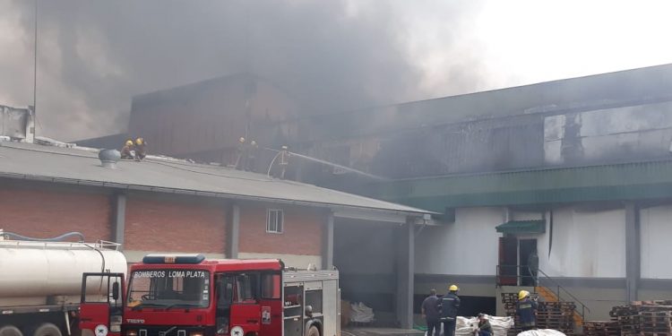 Aún no se logra controlar incendio de FrigoChorti en Loma Plata Aún no se logra controlar incendio de FrigoChorti en Loma Plata