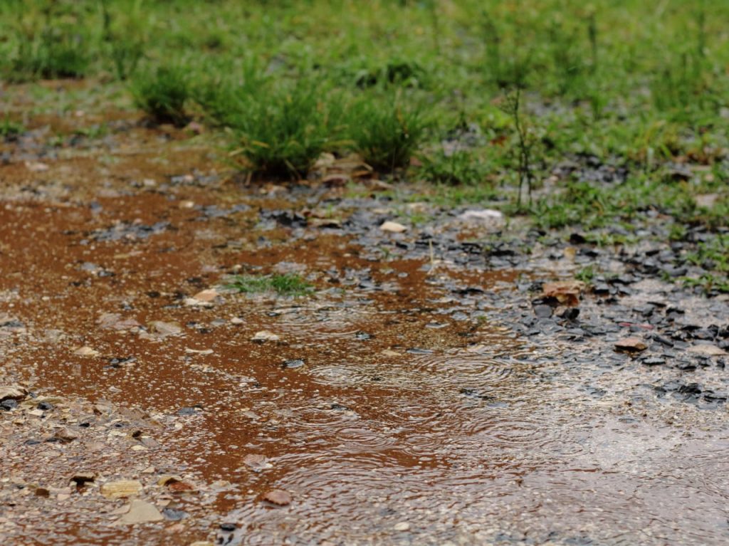Continúan las precipitaciones con mejoras hacia la tarde y bajas temperaturas