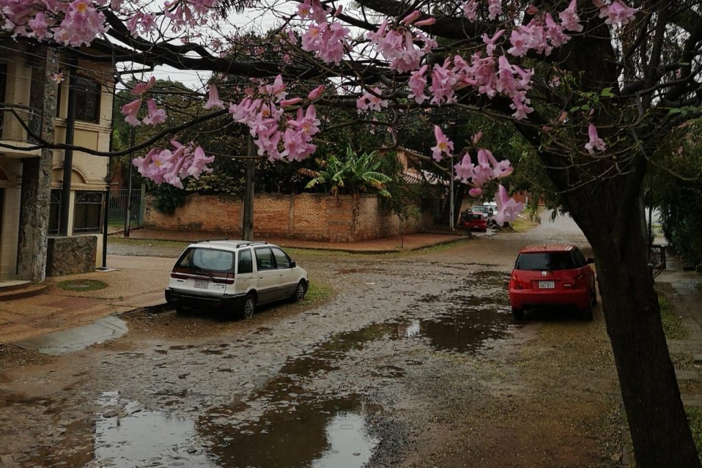 Lluvias dispersas para hoy y más generalizada para el resto de la semana