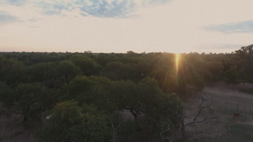Mitad de semana con ambiente cálido a caluroso y sin lluvias