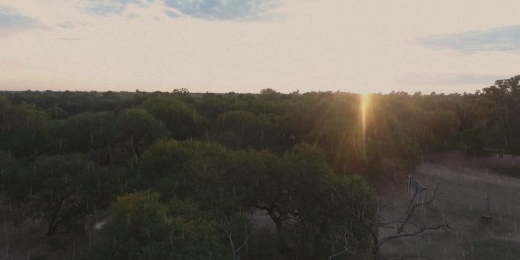 Mitad de semana con ambiente cálido a caluroso y sin lluvias