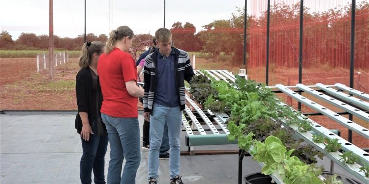 CFP de Loma Plata expuso atractivos proyectos estudiantiles CFP de Loma Plata expuso atractivos proyectos estudiantiles