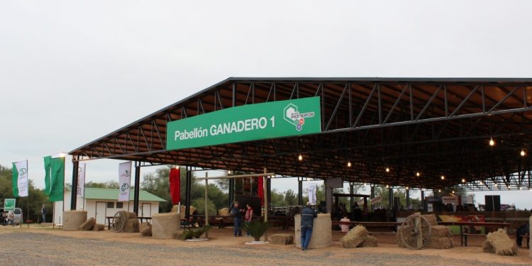 Expo Pioneros con más novedades en materia ganadera que en agricultura