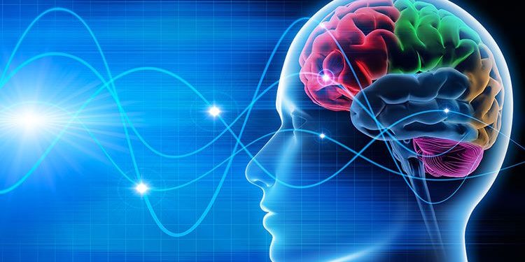 Ondas cerebrales se sincronizan cuando personas hablan lenguas extranjeras