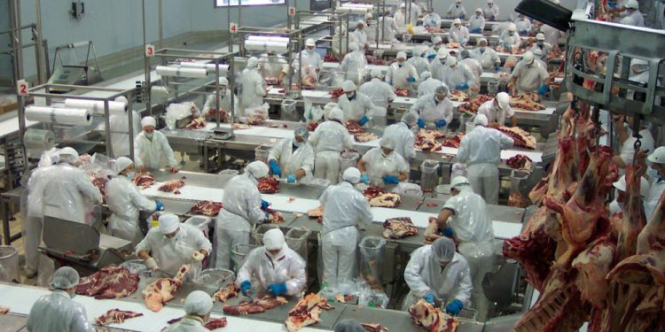 Sostienen que Instituto de la Carne es muy necesario para la ganadería nacional Sostienen que Instituto de la Carne es muy necesario para la ganadería nacional