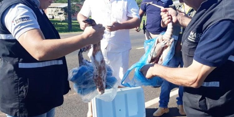 Operativo Semana Santa de MADES logró 27 procedimientos con incautaciones