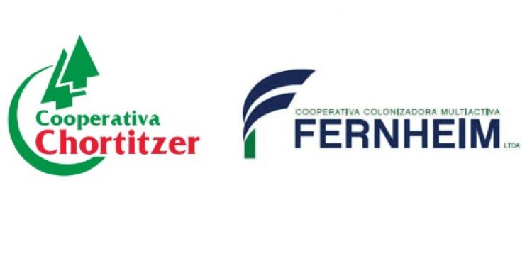 Cooperativas del Chaco aportan más de G. 3.300 millones mensuales al IPS Cooperativas del Chaco aportan más de G. 3.300 millones mensuales al IPS