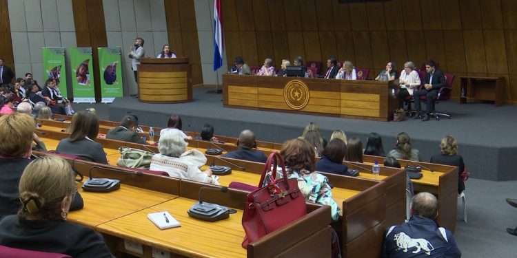 Realizaron hoy la primera audiencia pública del Proyecto Transformación Educativa 2030