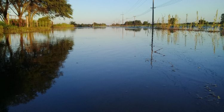 Chaco con problemas de acopio de leche debido a las inundaciones Chaco con problemas de acopio de leche debido a las inundaciones
