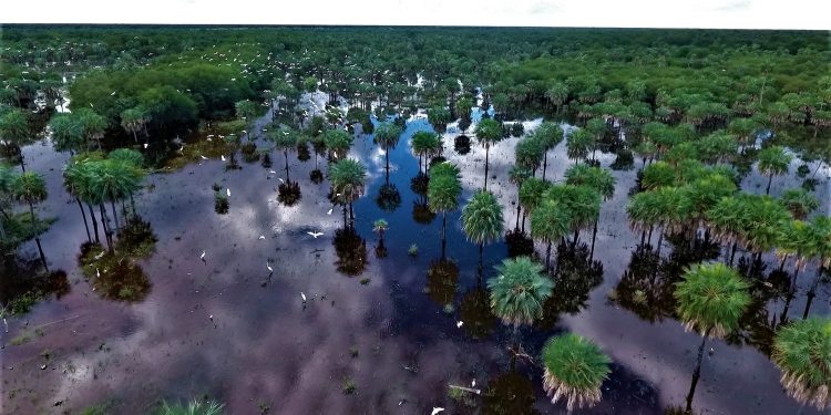 Se anuncia una jornada agradable y sin lluvias