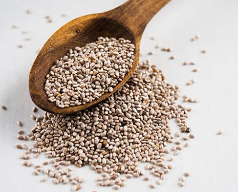 Productores de Pdte. Hayes se capacitan para la producción de chia y maní