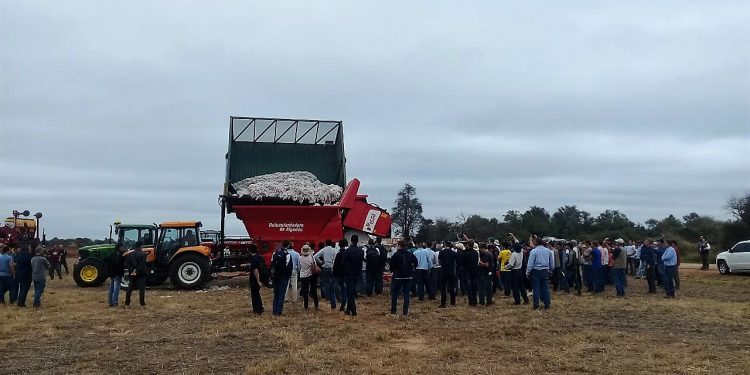 Expo Pioneros: Realizarán demostraciones a campo con maquinarias de última generación Expo Pioneros: Realizarán demostraciones a campo con maquinarias de última generación