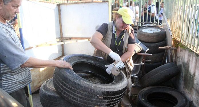 Suman 67 notificaciones por sospecha de Dengue y 20 casos confirmados en Boquerón