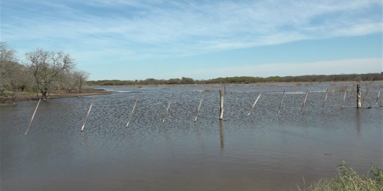 Anuncian ingreso de frente frío