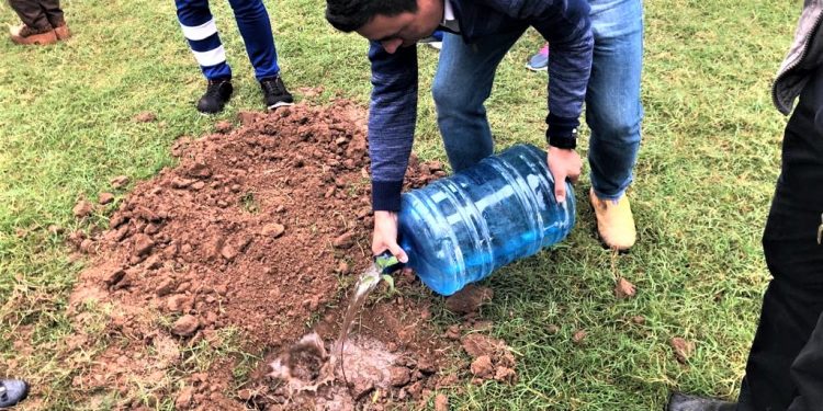 Realizan plantación en escuelas y parques de Filadelfia por el Día del Árbol