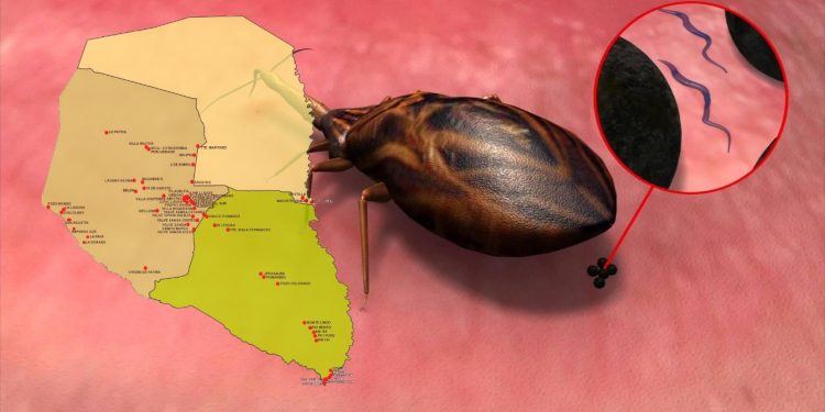 Más 3.000 niños chaqueños beneficiados con proyecto contra Chagas