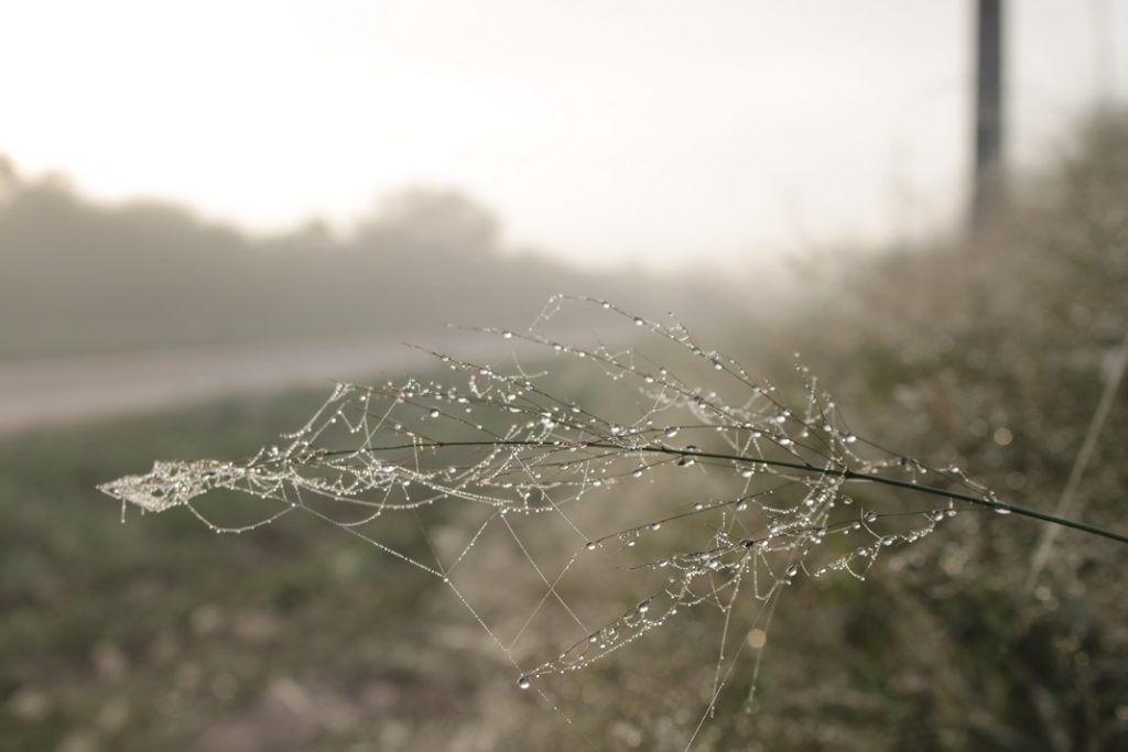 Persiste inestabilidad y bajas temperaturas en gran parte del país