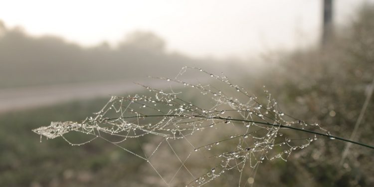 Persiste inestabilidad y bajas temperaturas en gran parte del país