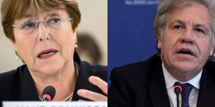 Almagro cuestiona a Bachelet tras críticas a sanciones estadounidenses: «Le da aire a un régimen oprobioso» Almagro cuestiona a Bachelet tras críticas a sanciones estadounidenses: «Le da aire a un régimen oprobioso»