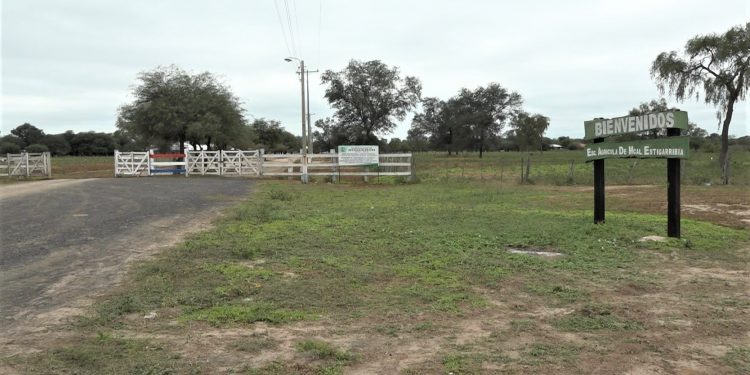 Esperan solución para 200 horas cátedra en Escuela Agrícola de Mariscal
