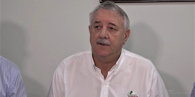 Frigochorti comenzará a faenar 600 cabezas diarias en los próximos meses