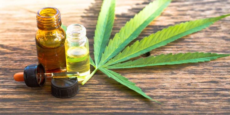 Desde el ministerio de Salud se afirma que transparencia es la base del proceso de industrialización del cannabis