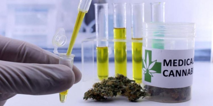 Paraguay se alista para uso de cannabis medicinal con mesa interinstitucional