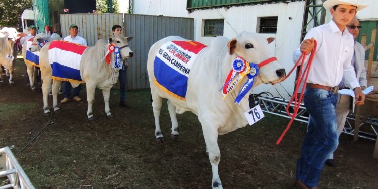 Expo 2019 buscará destacar la ganadería en inauguración «espectacular»