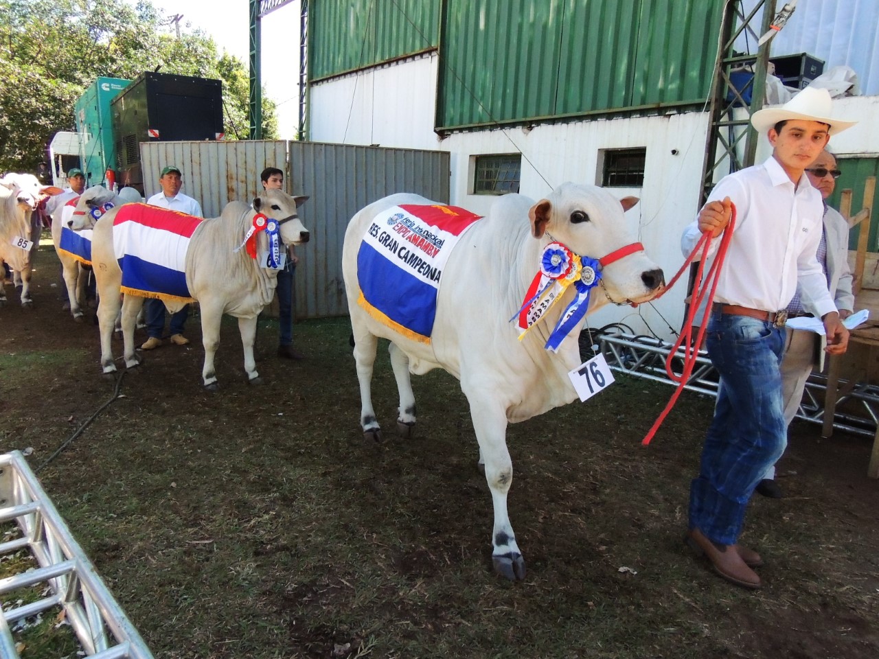 Expo 2019 buscará destacar la ganadería en inauguración «espectacular»