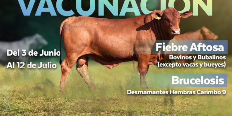 FUNDASSA: «Un animal sano, es un país sano»