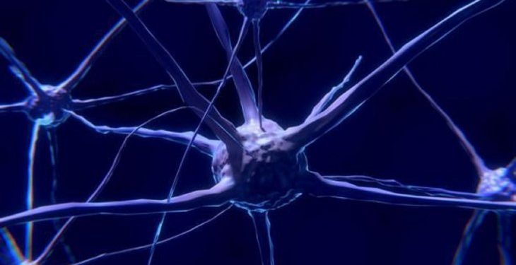 Desarrollan nuevo modelo para tratar autismo con sistema de edición de genes Desarrollan nuevo modelo para tratar autismo con sistema de edición de genes