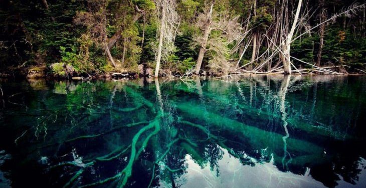 El bosque argentino que podría causar un tsunami