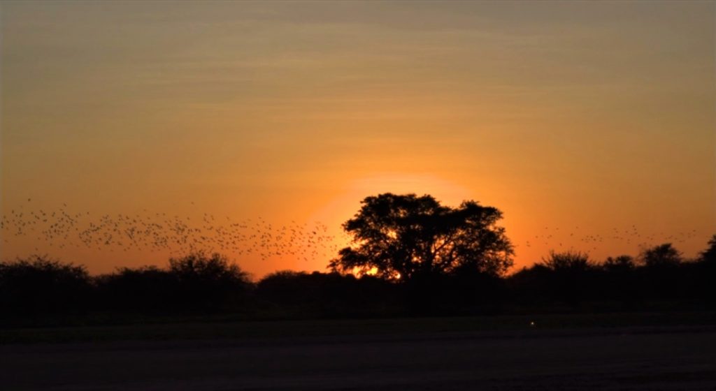 Anuncian clima caluroso con ingreso de nuevo frente frío esta noche