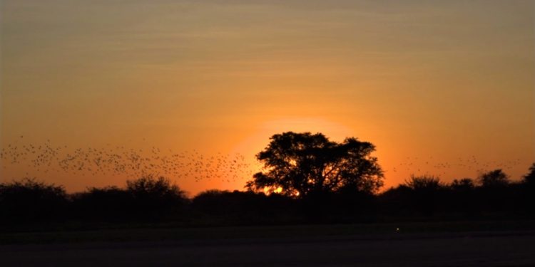 Anuncian clima caluroso con ingreso de nuevo frente frío esta noche