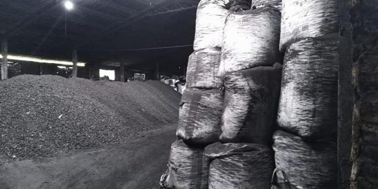 Allanan carbonera de Benjamín Aceval ante denuncias de explotación laboral